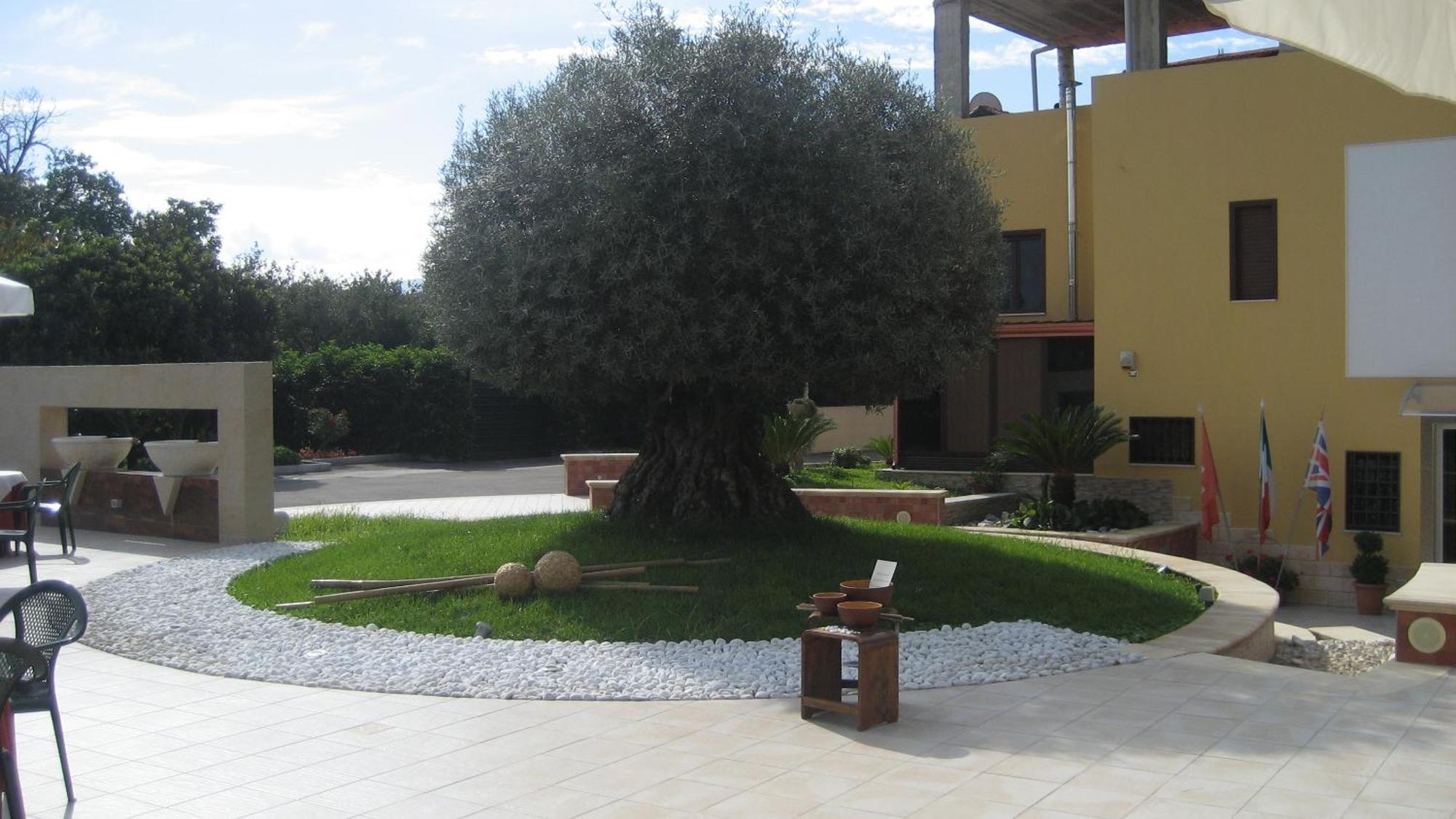 Hotel Ginevra Poggiomarino Ngoại thất bức ảnh