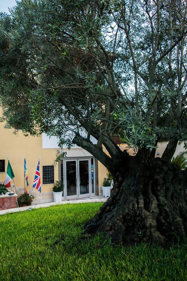 Hotel Ginevra Poggiomarino Ngoại thất bức ảnh